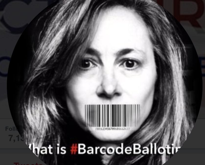 How to Hack an Election